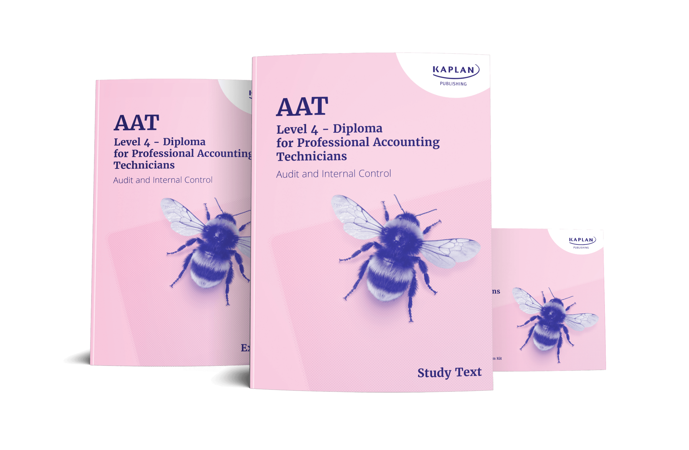 An image of the book for Audit and Internal Controls Essentials Pack